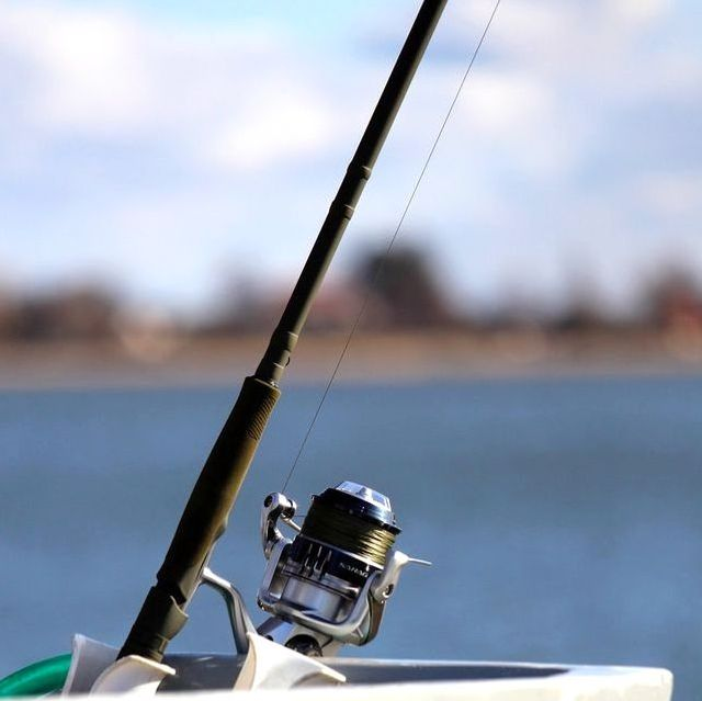 Experienced freshwater angler